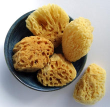 Load image into Gallery viewer, Natural Sponges 3" to 4" Toxin-Free
