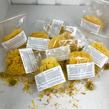 Load image into Gallery viewer, Natural Sponges 3" to 4" Toxin-Free