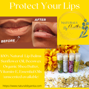 Lip Butter Best Sellers Variety Pack, NaturalsbyAnita