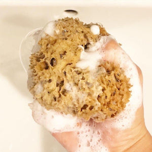 Natural Sponges 3" to 4" Toxin-Free